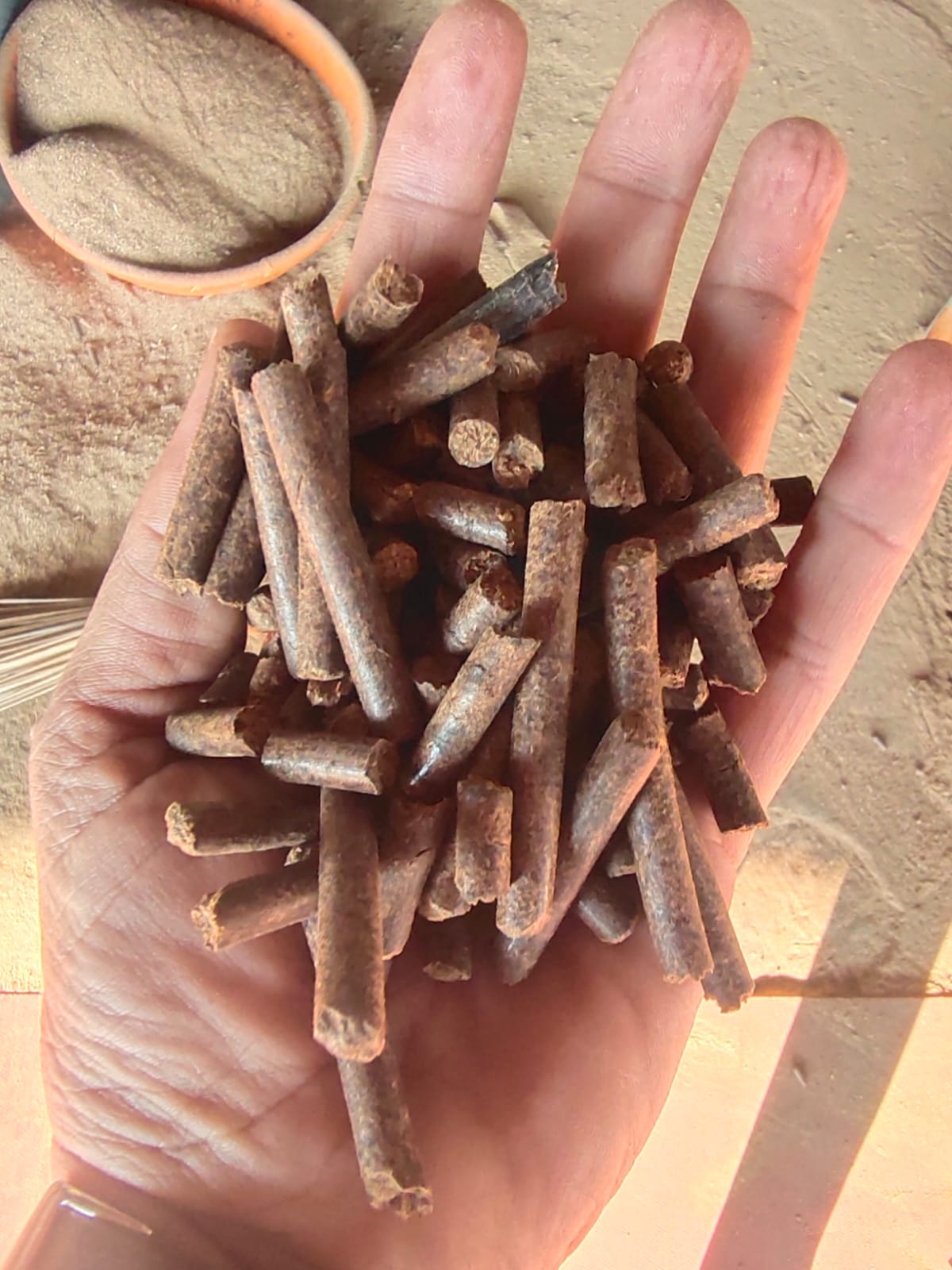 Paddy Straw Pellets