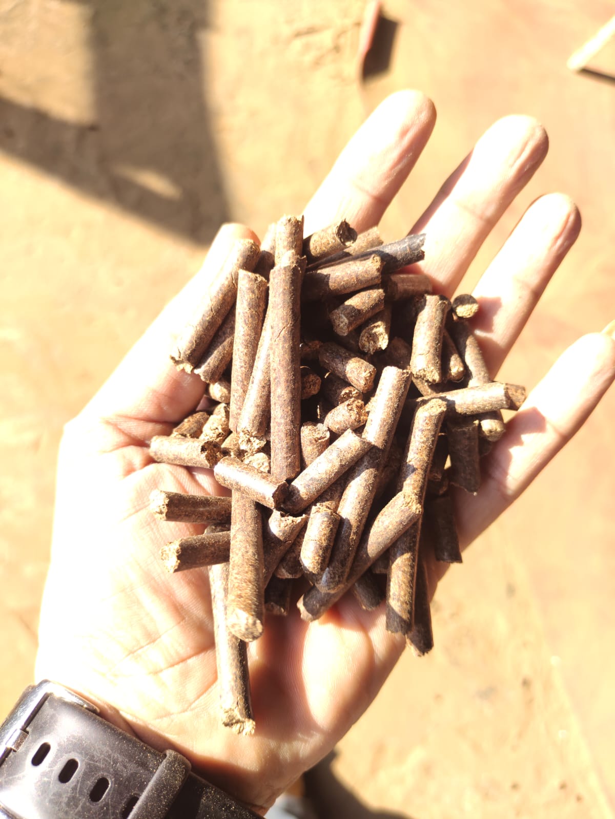 Hardwood Biomass Pellets – Aadi Biofuels